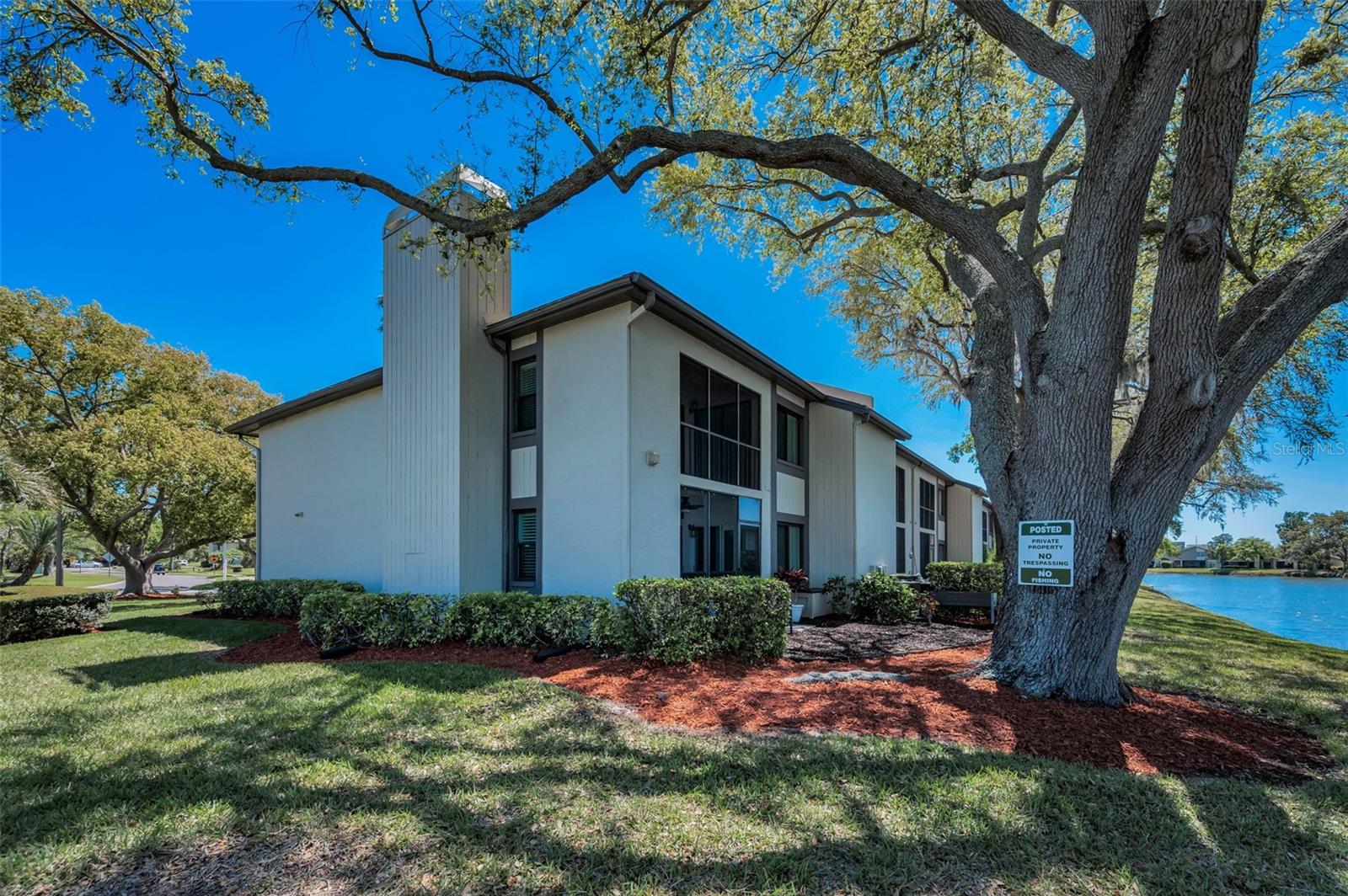 232 NINA WAY #232, OLDSMAR, FL, 34677