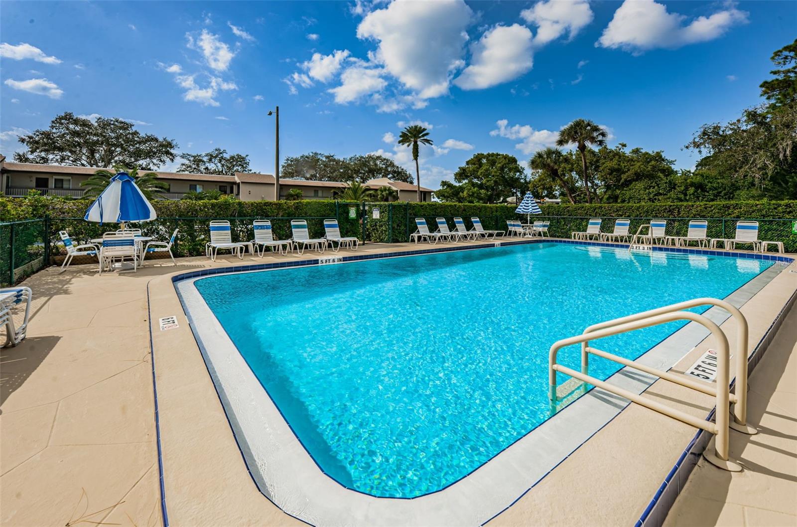 232 NINA WAY #232, OLDSMAR, FL, 34677