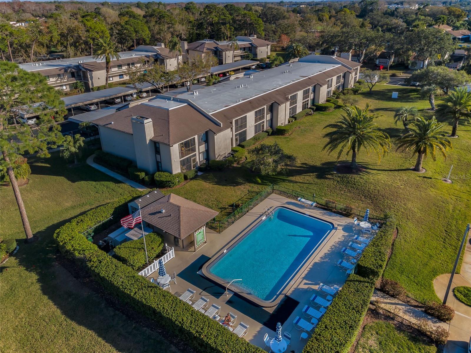 232 NINA WAY #232, OLDSMAR, FL, 34677