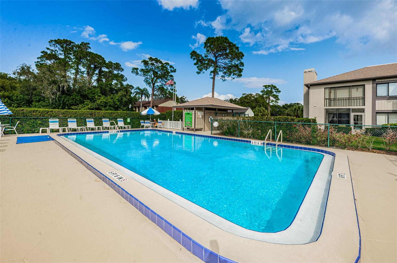 232 NINA WAY #232, OLDSMAR, FL, 34677