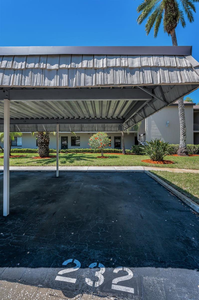 232 NINA WAY #232, OLDSMAR, FL, 34677