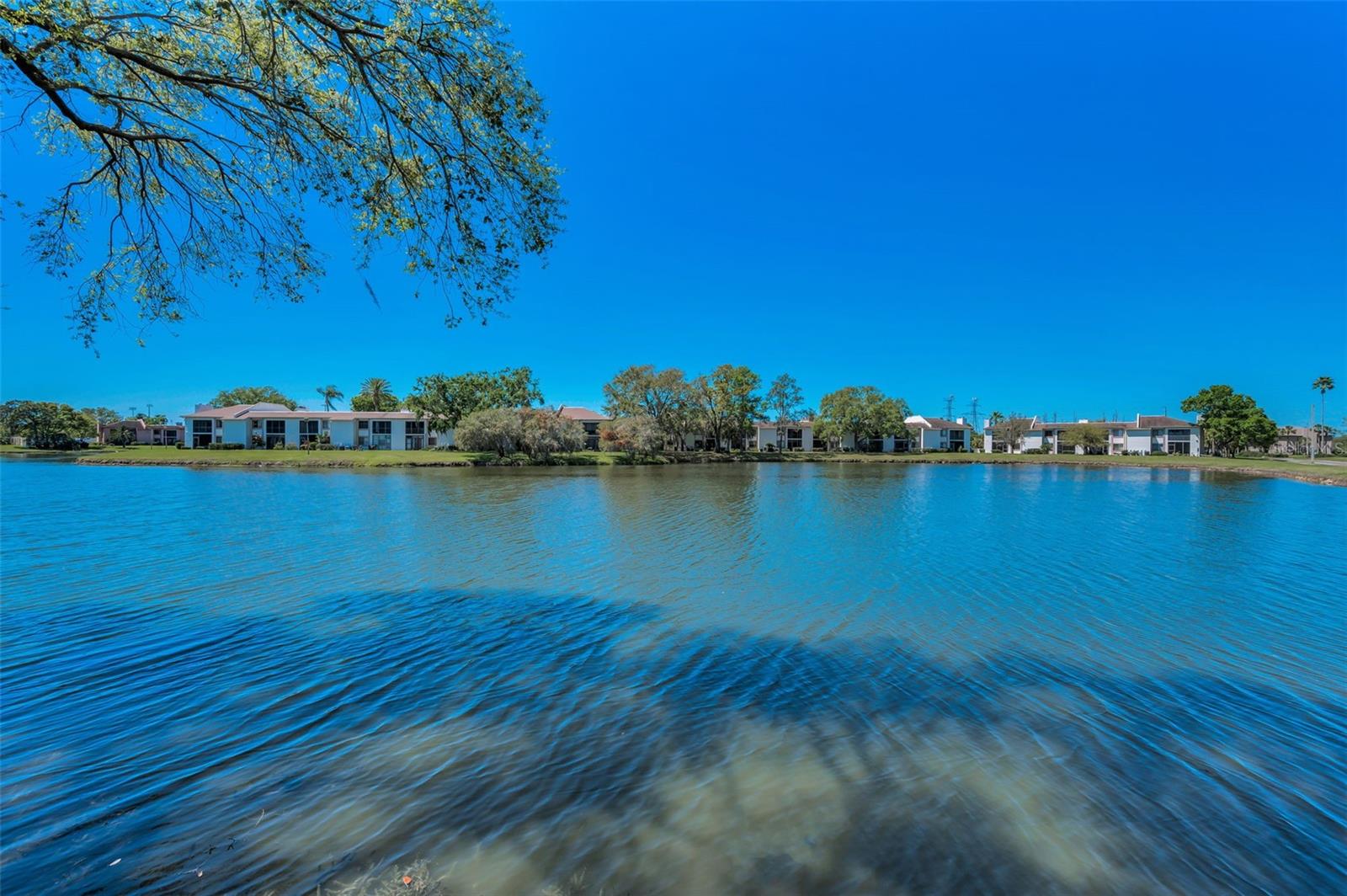 232 NINA WAY #232, OLDSMAR, FL, 34677