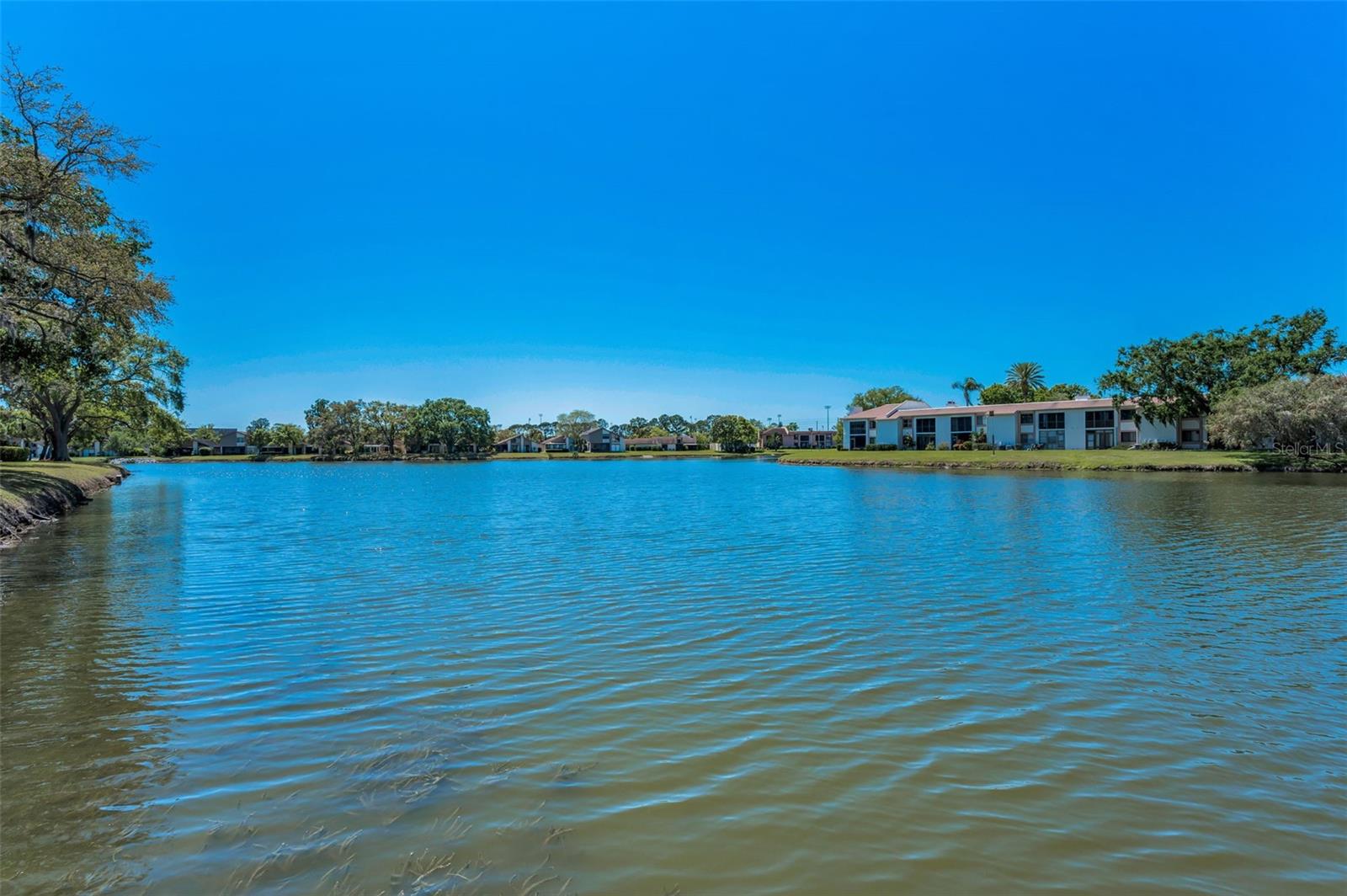 232 NINA WAY #232, OLDSMAR, FL, 34677
