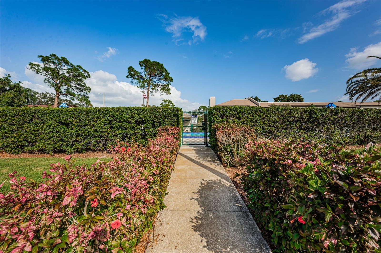 232 NINA WAY #232, OLDSMAR, FL, 34677