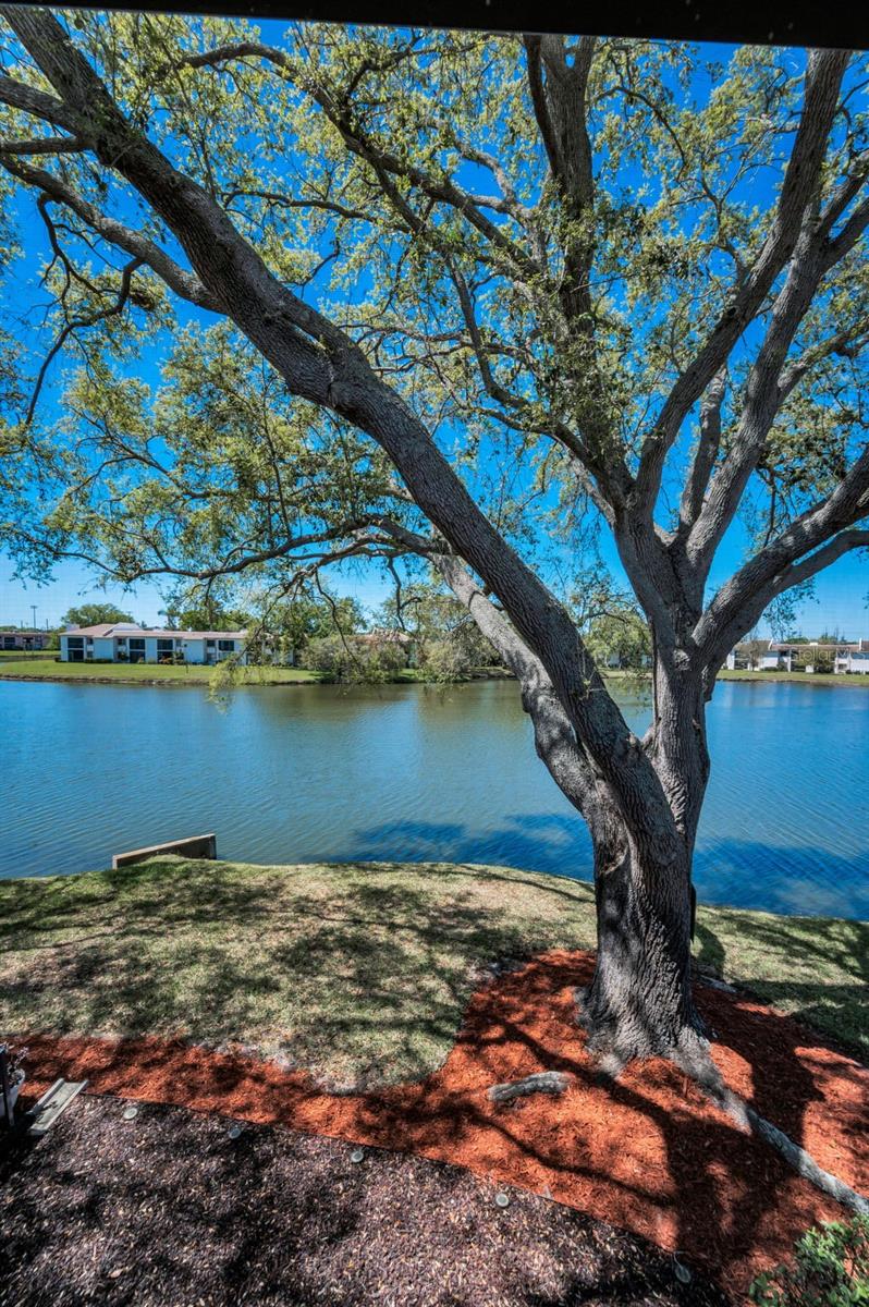 232 NINA WAY #232, OLDSMAR, FL, 34677