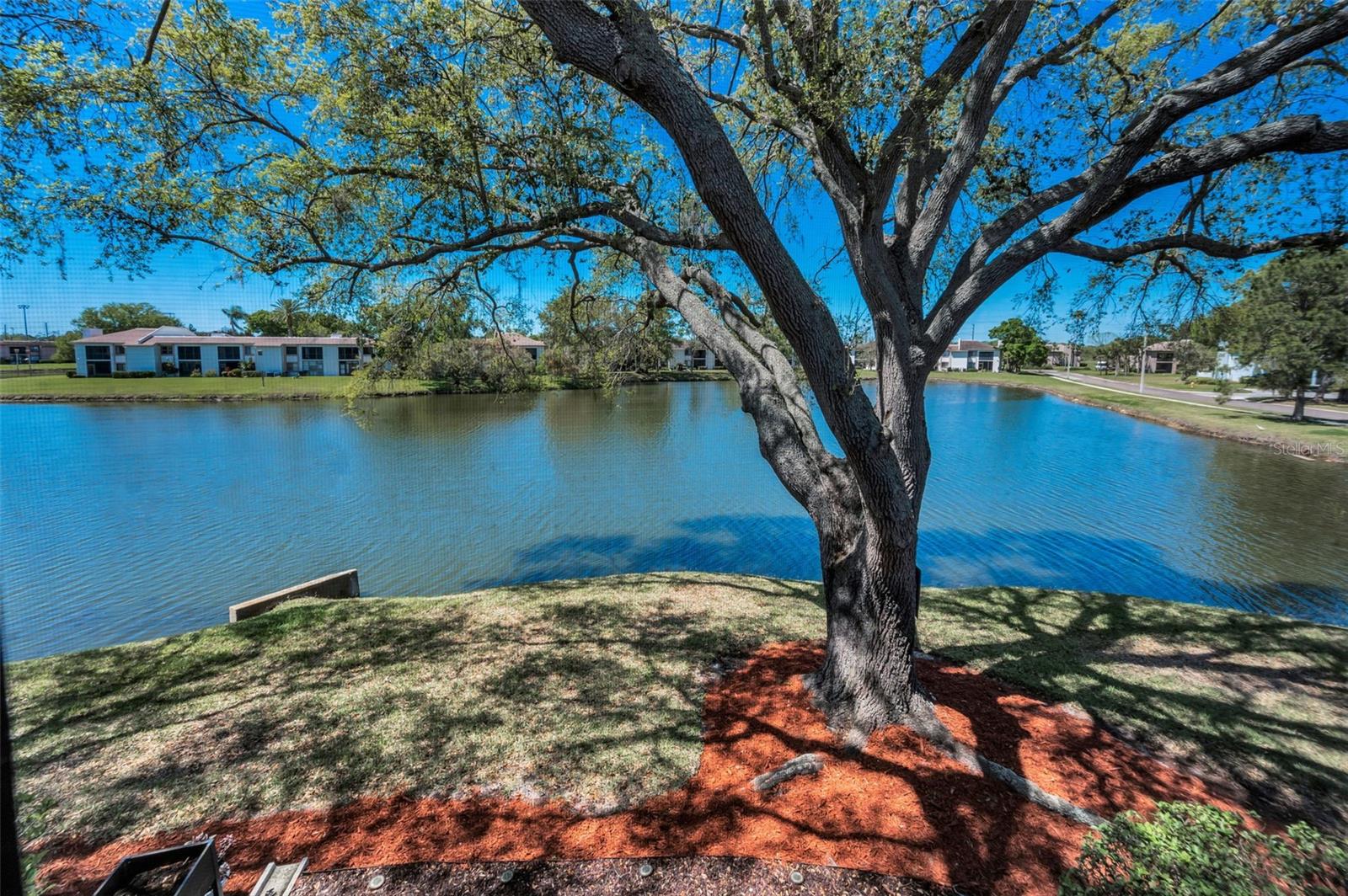 232 NINA WAY #232, OLDSMAR, FL, 34677