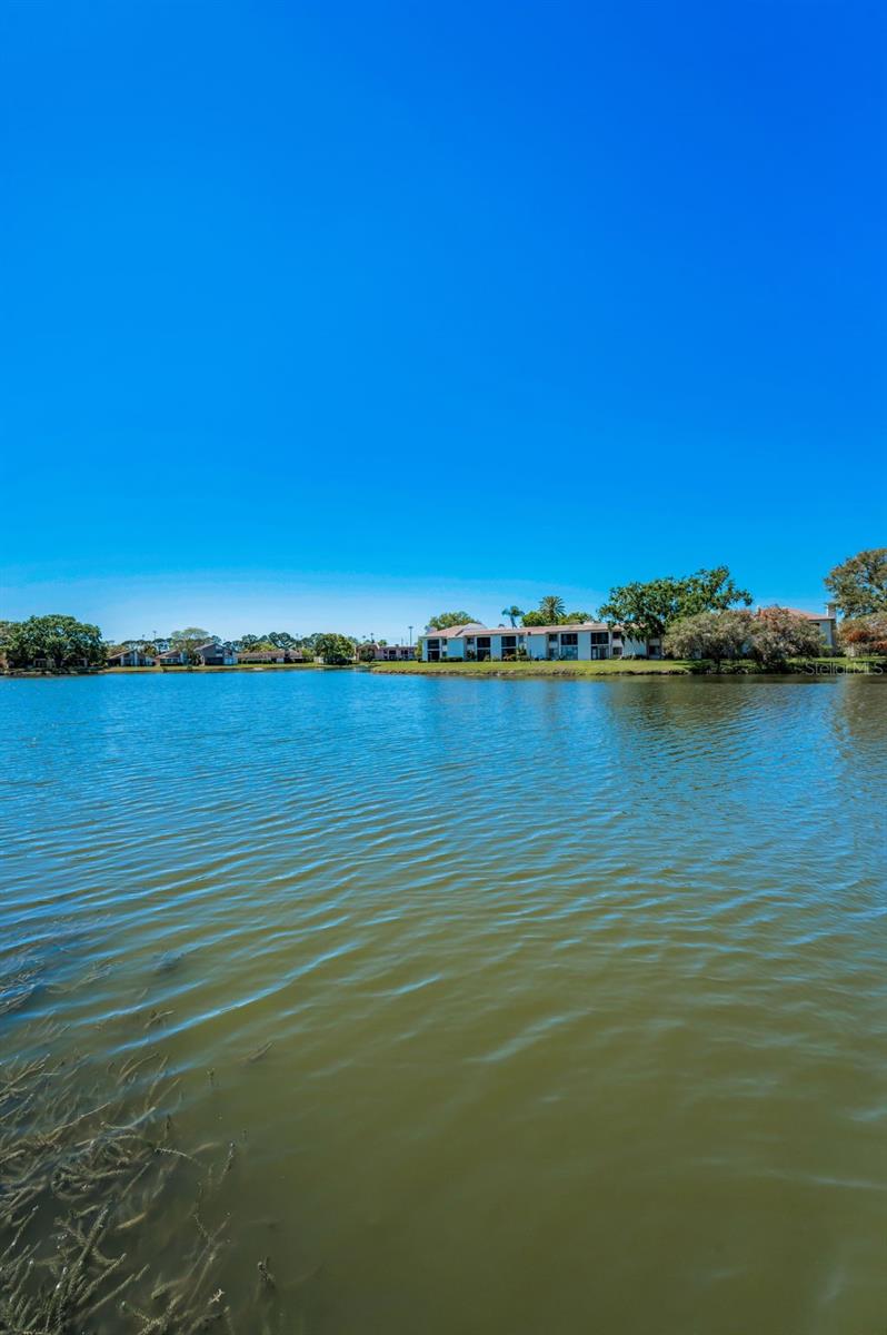 232 NINA WAY #232, OLDSMAR, FL, 34677