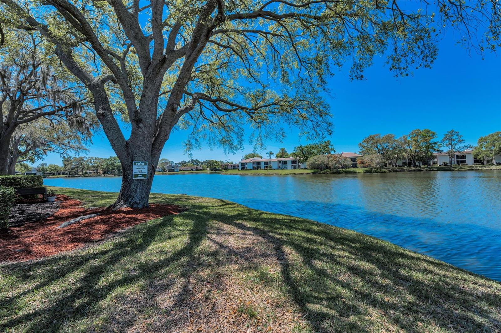 232 NINA WAY #232, OLDSMAR, FL, 34677