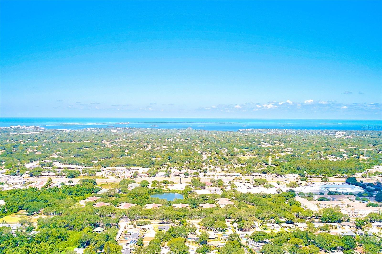 921 WOODLAND DR, PALM HARBOR, FL, 34683