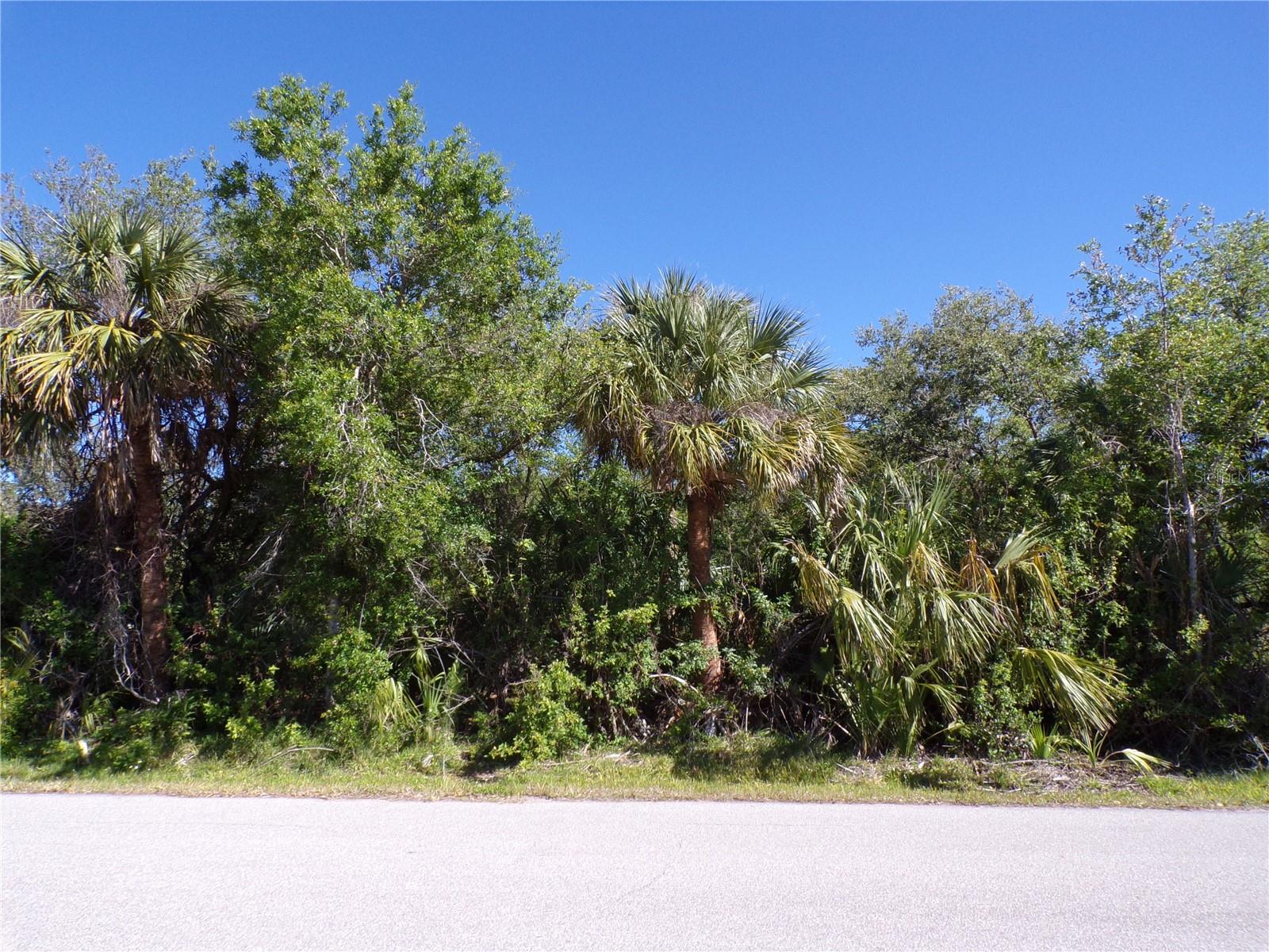 26046 SCHAM RD, PUNTA GORDA, FL, 33955