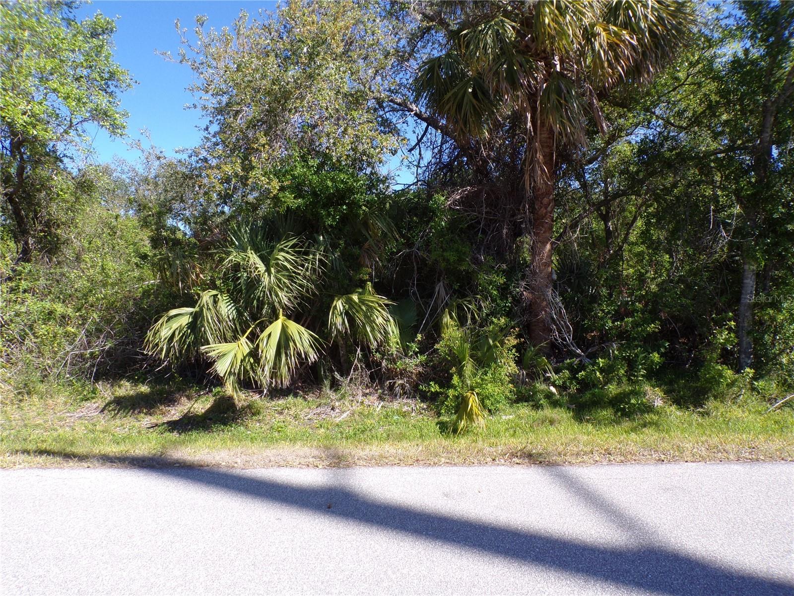 26046 SCHAM RD, PUNTA GORDA, FL, 33955