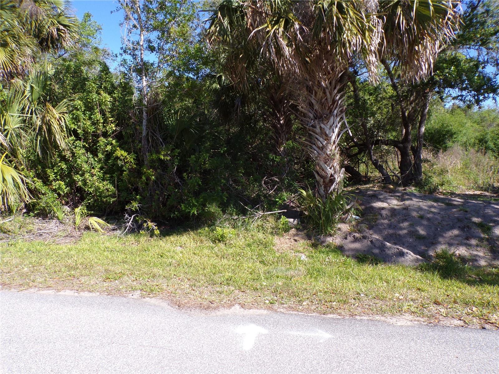 26046 SCHAM RD, PUNTA GORDA, FL, 33955