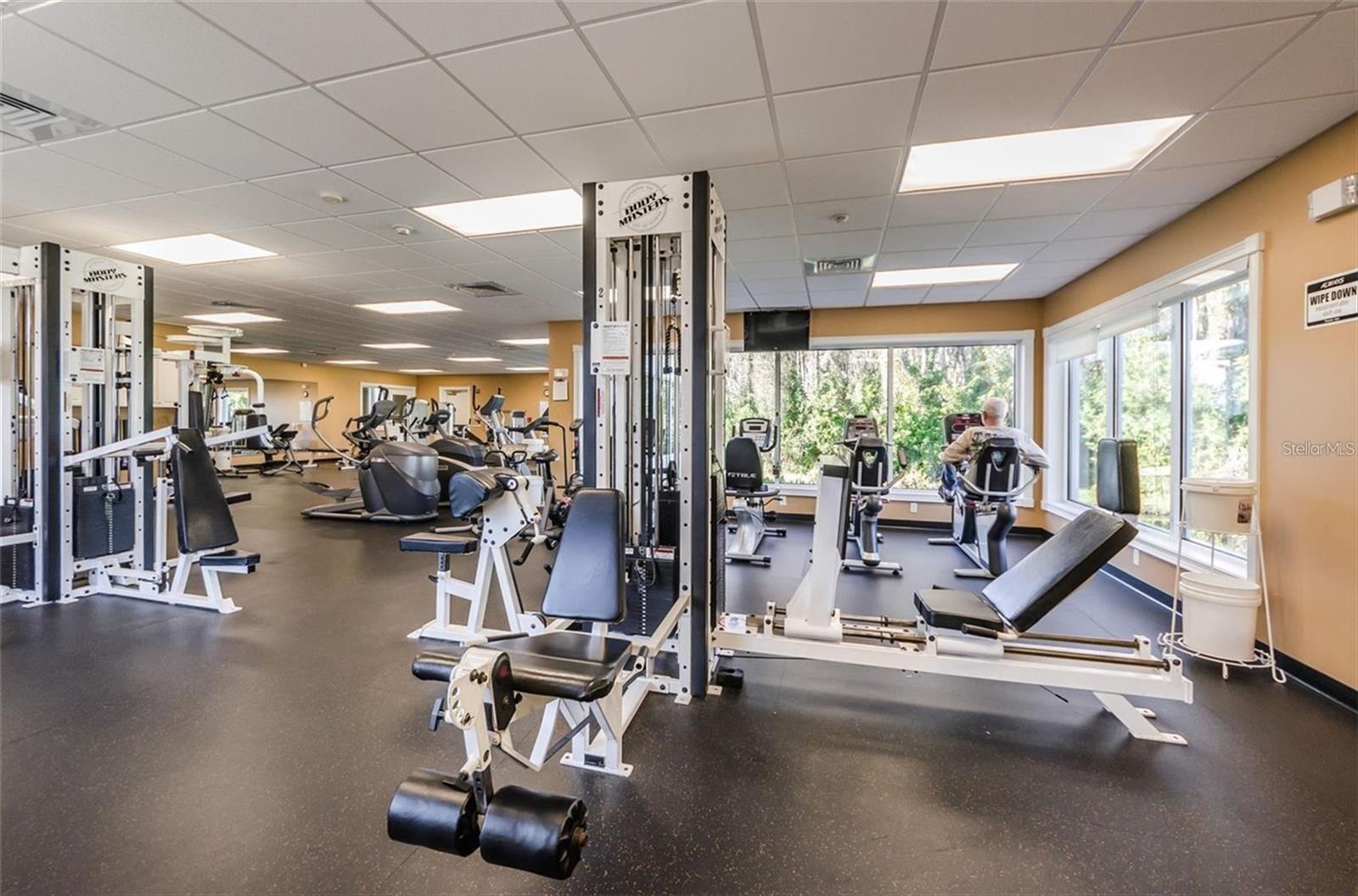 1051 ALMONDWOOD DR, TRINITY, FL, 34655