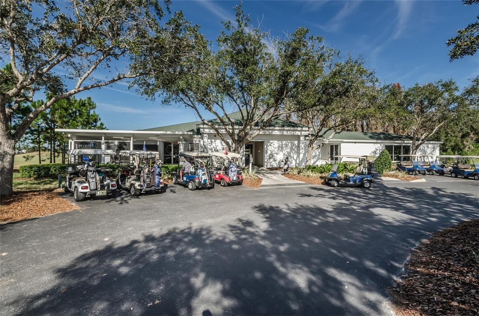 1051 ALMONDWOOD DR, TRINITY, FL, 34655