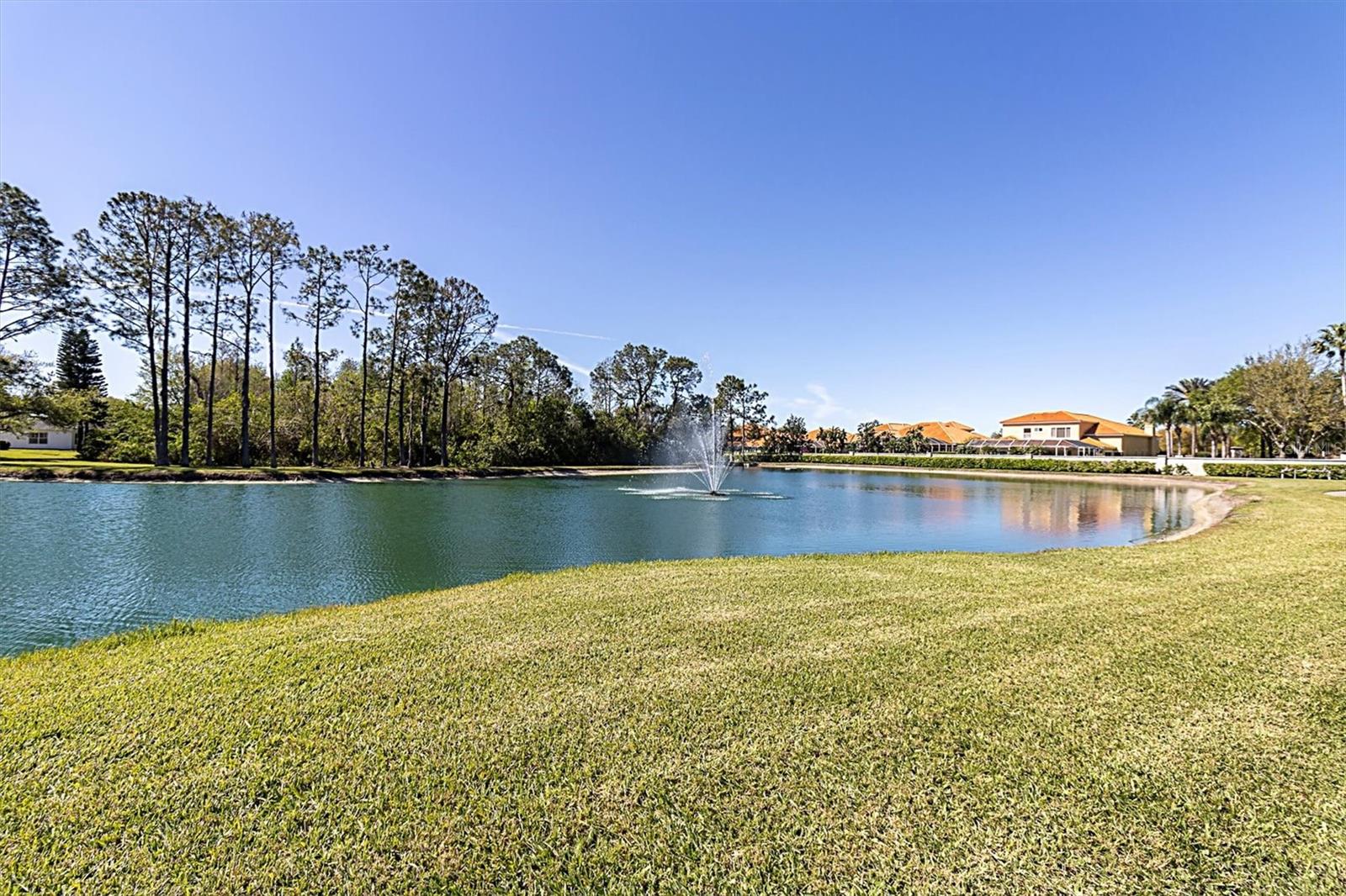 1051 ALMONDWOOD DR, TRINITY, FL, 34655