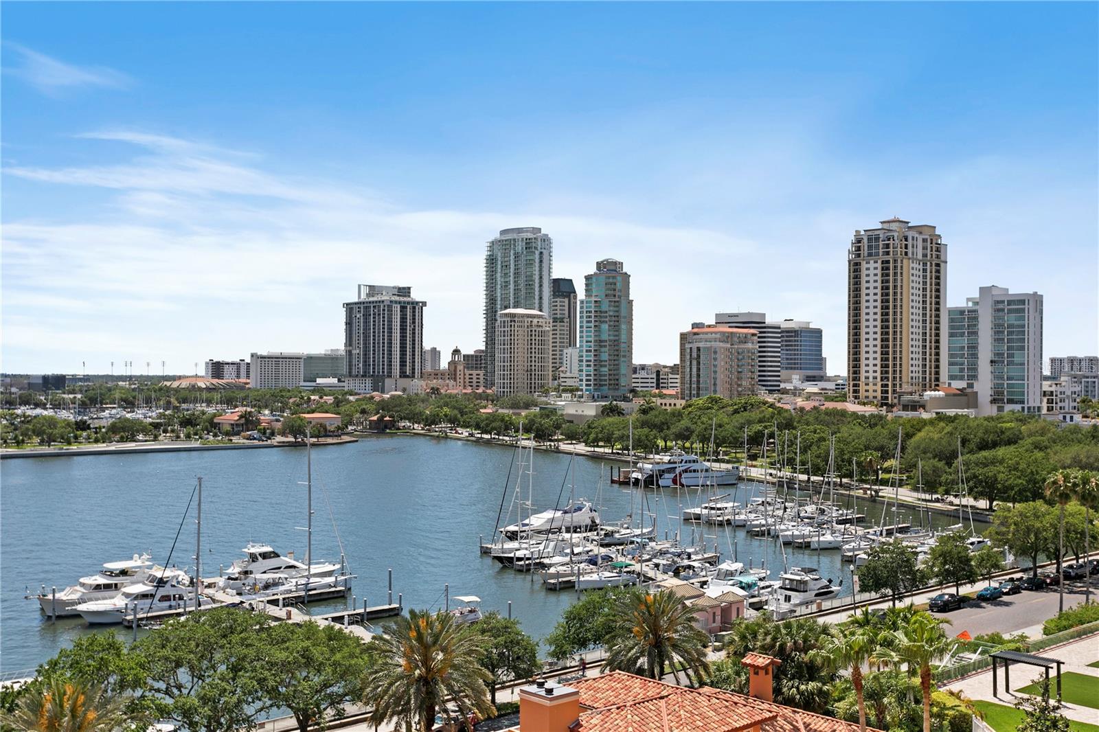 555 5TH AVE NE #922, ST PETERSBURG, FL, 33701