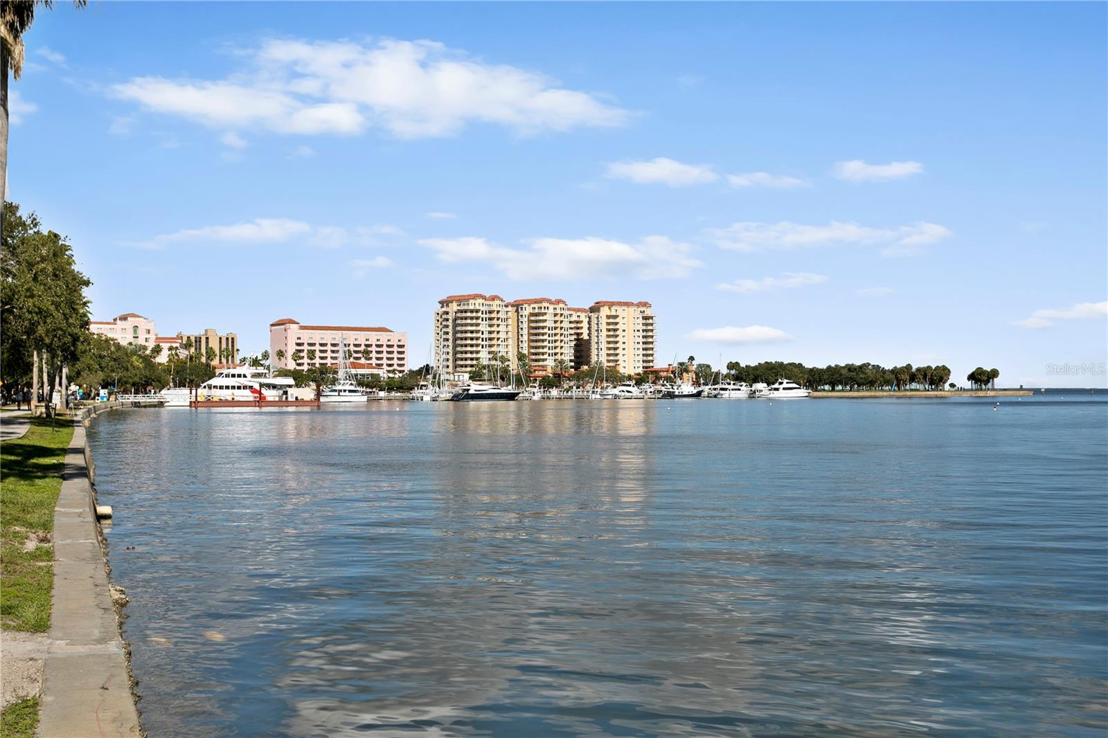 555 5TH AVE NE #922, ST PETERSBURG, FL, 33701