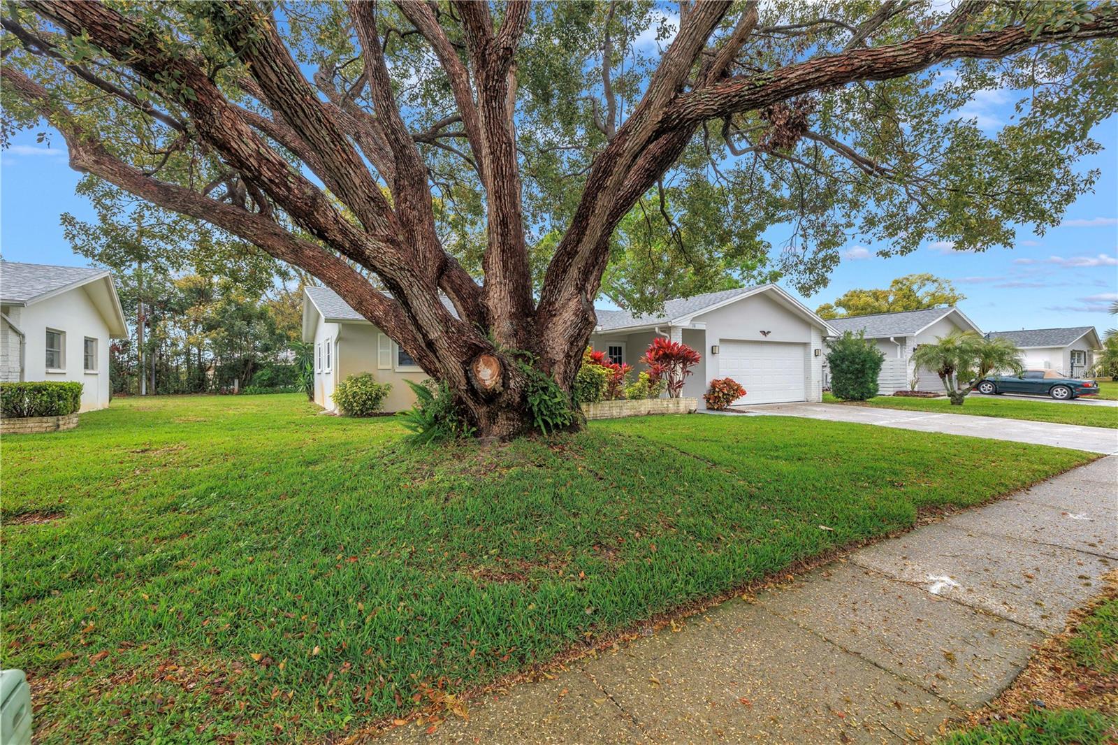 118 STAFFORD DR, PALM HARBOR, FL, 34684