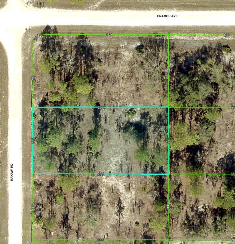 16330 KAKAWI RD, BROOKSVILLE, FL, 34614