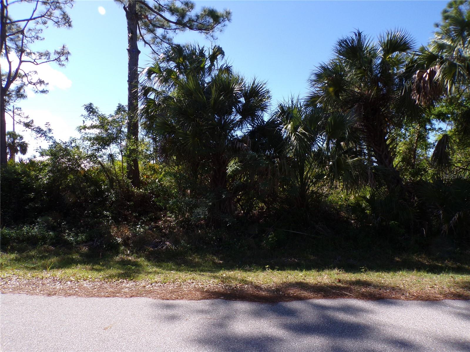26251 HAPSBURG RD, PUNTA GORDA, FL, 33955