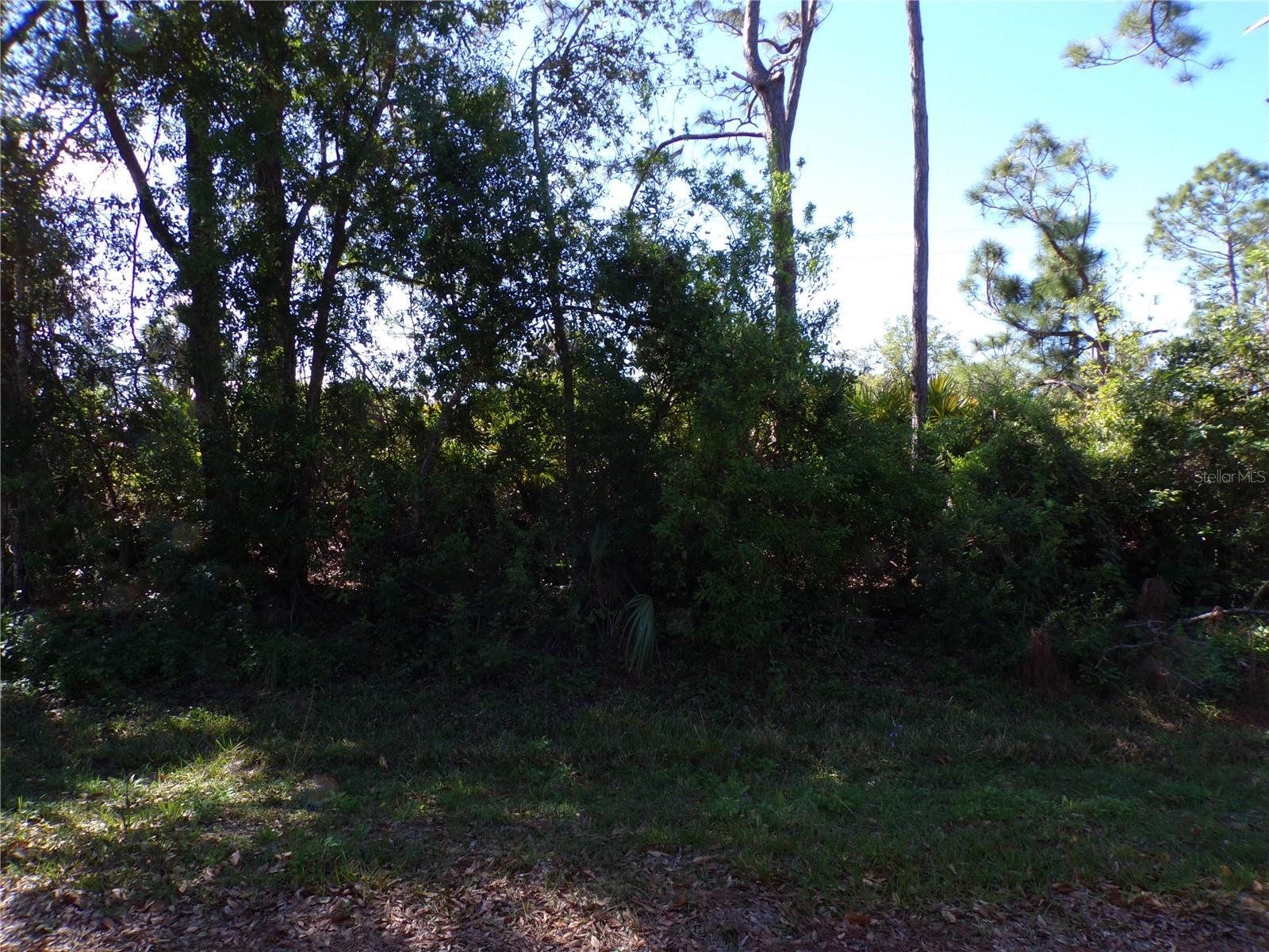 26251 HAPSBURG RD, PUNTA GORDA, FL, 33955