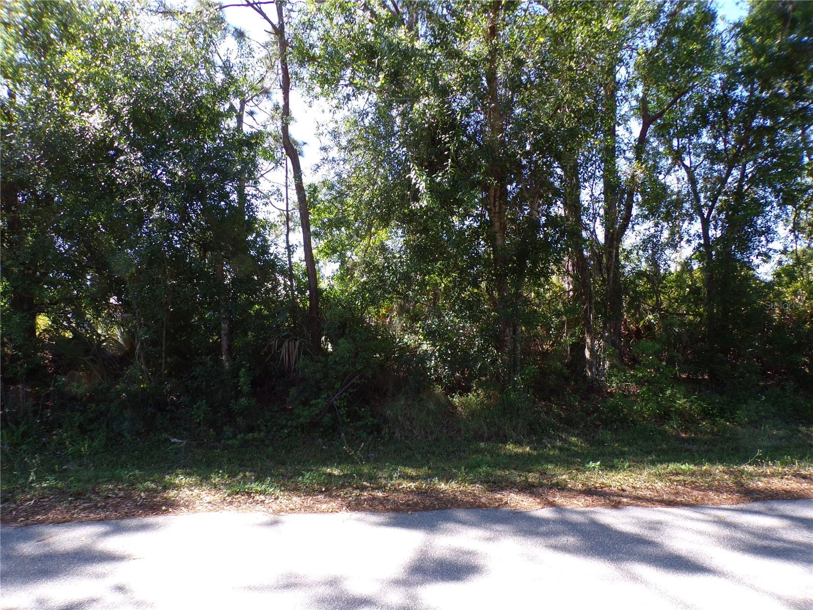 26251 HAPSBURG RD, PUNTA GORDA, FL, 33955