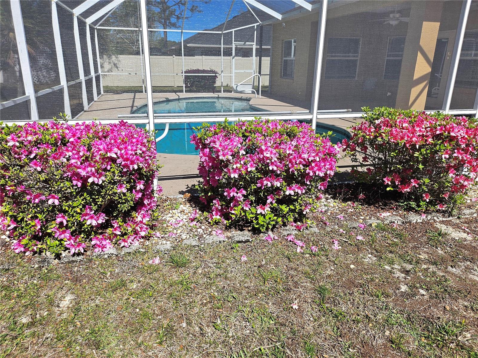165 FRONTIER DR, PALM COAST, FL, 32137