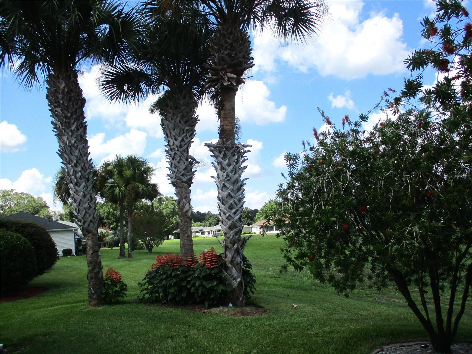 13780 SW 111TH AVE, DUNNELLON, FL, 34432