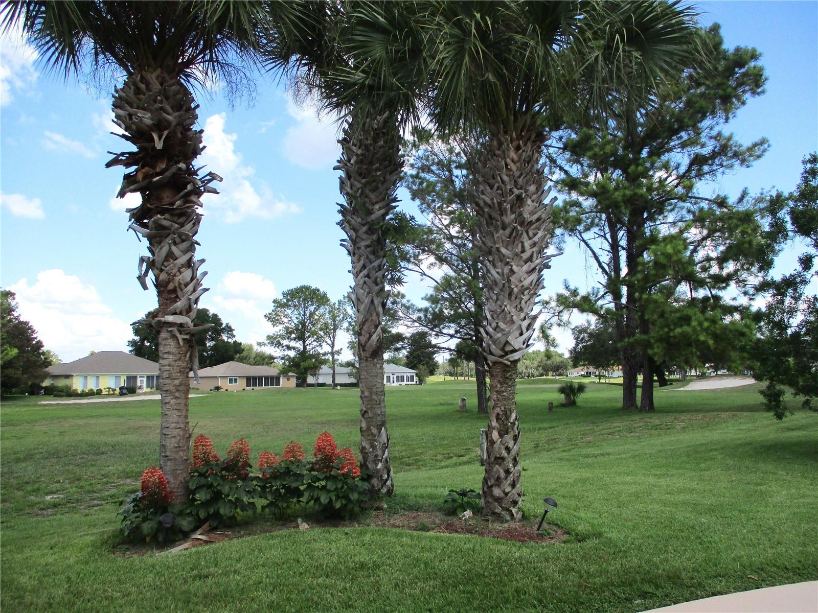 13780 SW 111TH AVE, DUNNELLON, FL, 34432