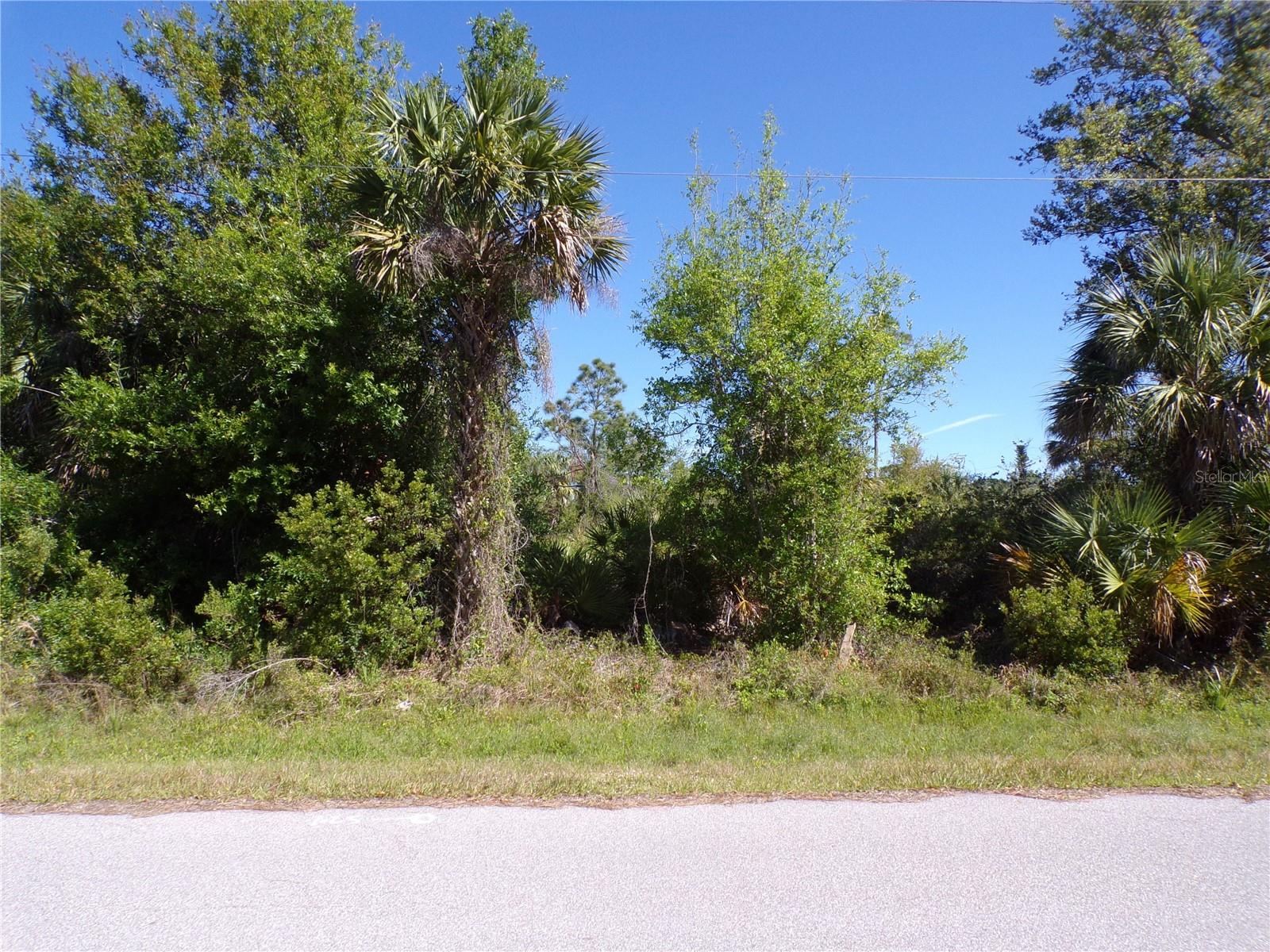 26272 DEER RD, PUNTA GORDA, FL, 33955