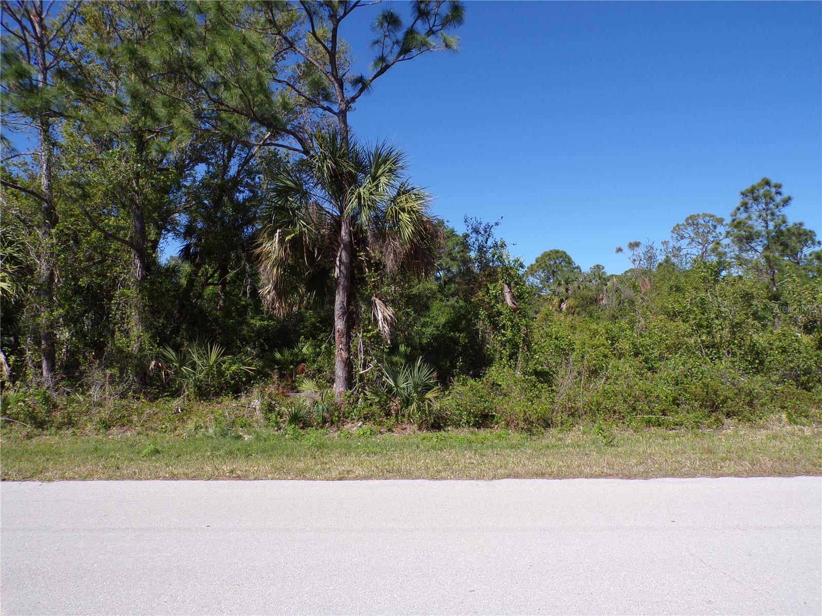 26272 DEER RD, PUNTA GORDA, FL, 33955
