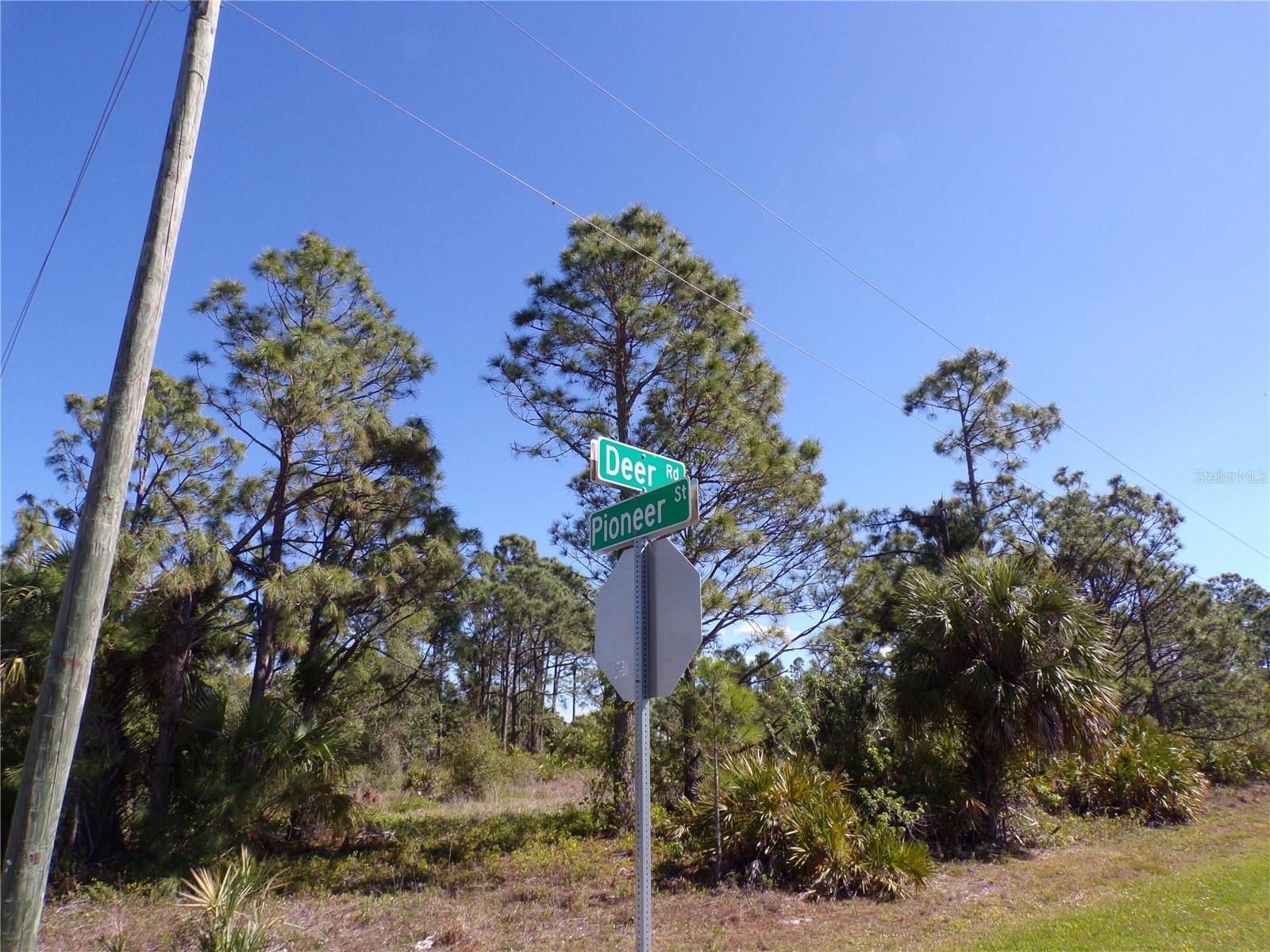 26272 DEER RD, PUNTA GORDA, FL, 33955