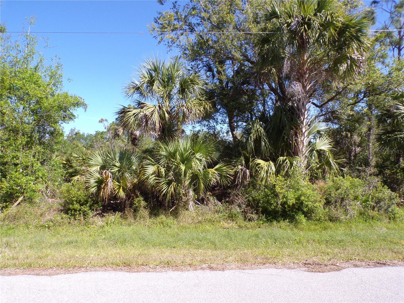 26272 DEER RD, PUNTA GORDA, FL, 33955