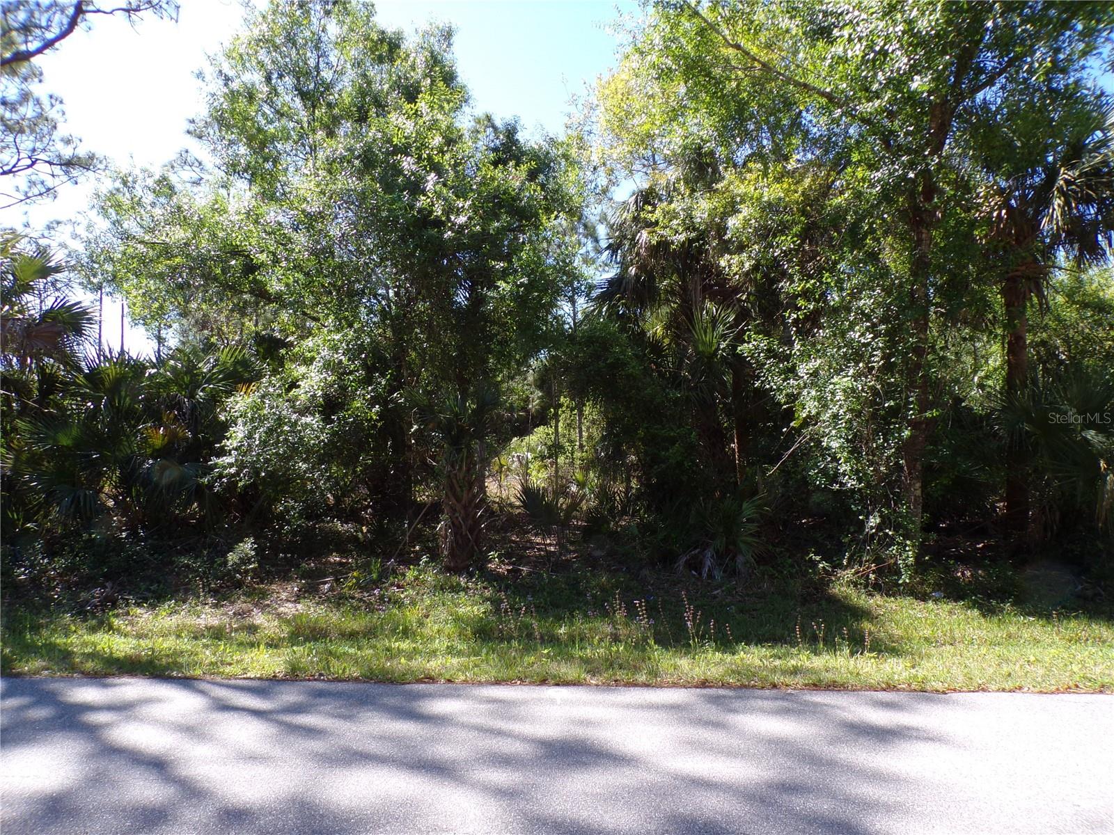26215 CUSTER RD, PUNTA GORDA, FL, 33955