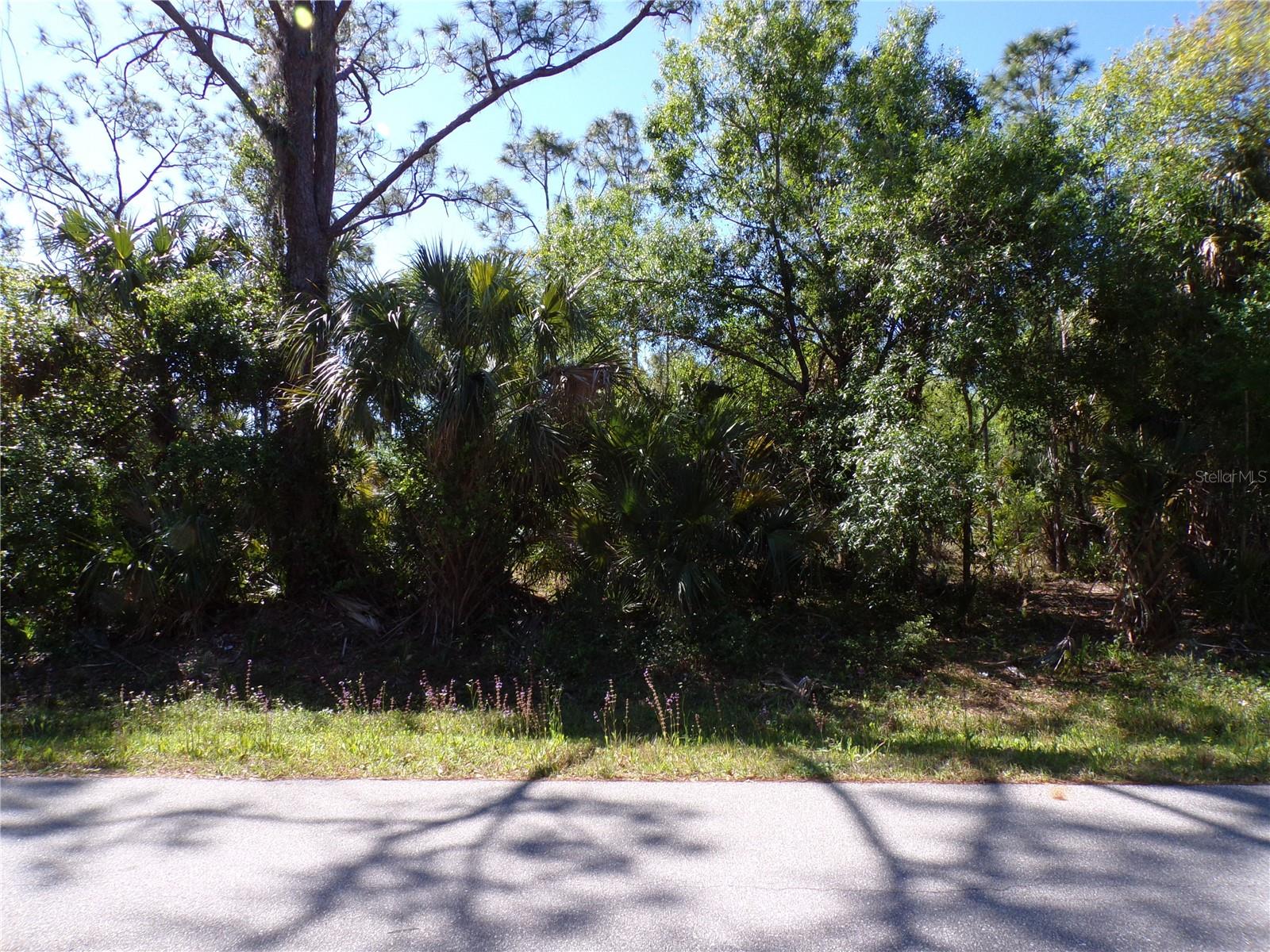 26203 CUSTER RD, PUNTA GORDA, FL, 33955