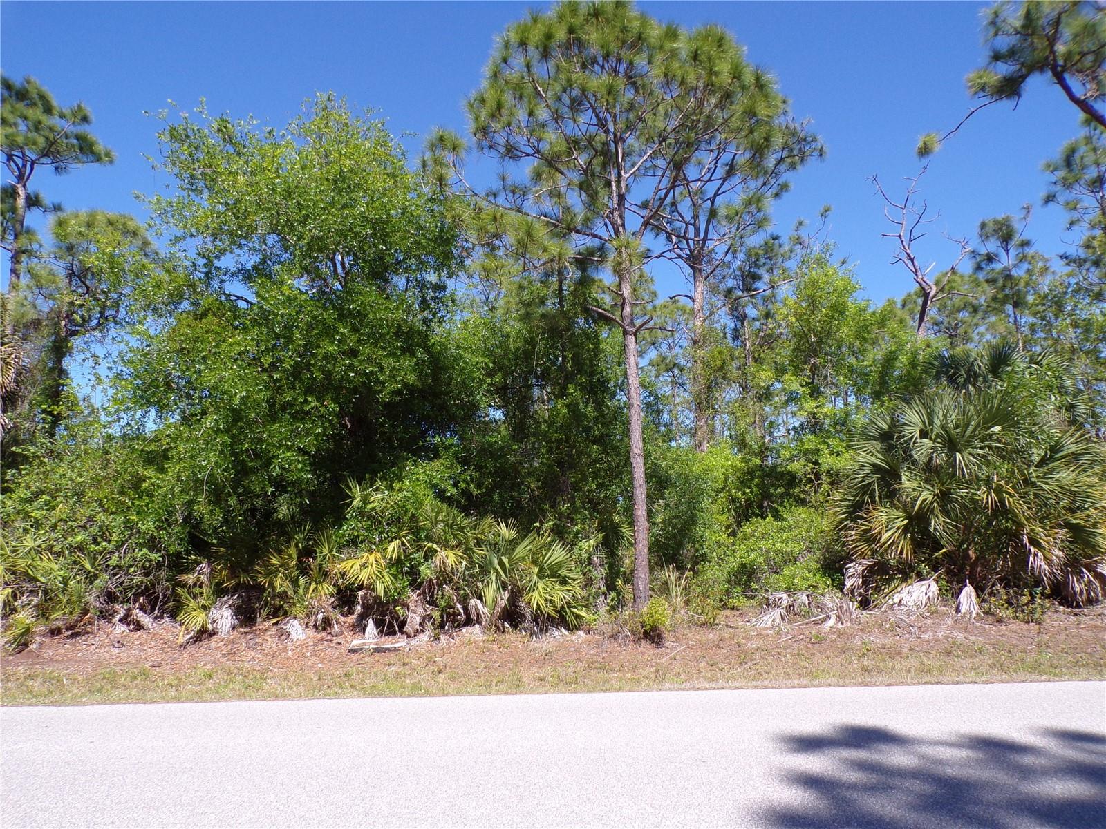 11383 10TH AVE, PUNTA GORDA, FL, 33955