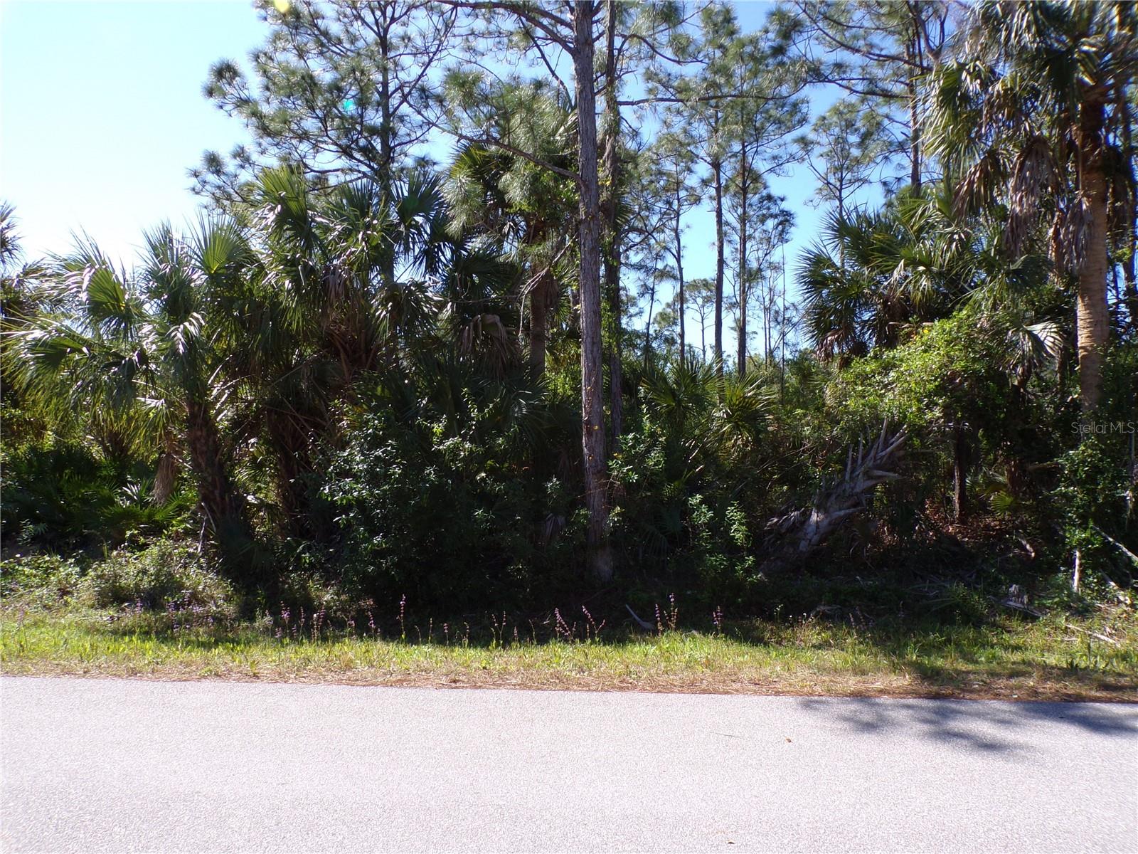 12115 ESTRELLA BLVD, PUNTA GORDA, FL, 33955