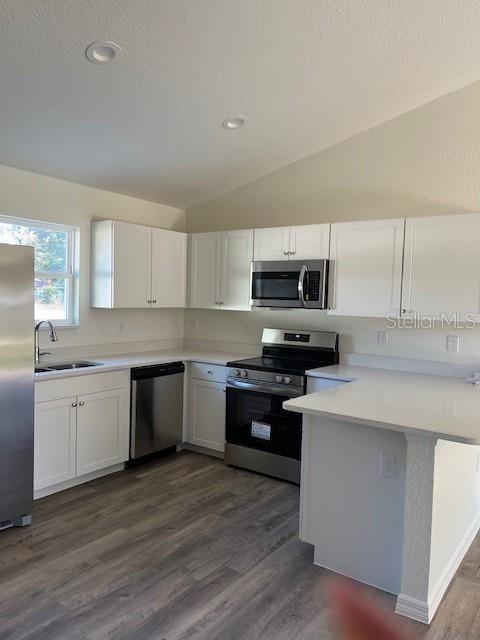 2995 SE 145TH PL, SUMMERFIELD, FL, 34491