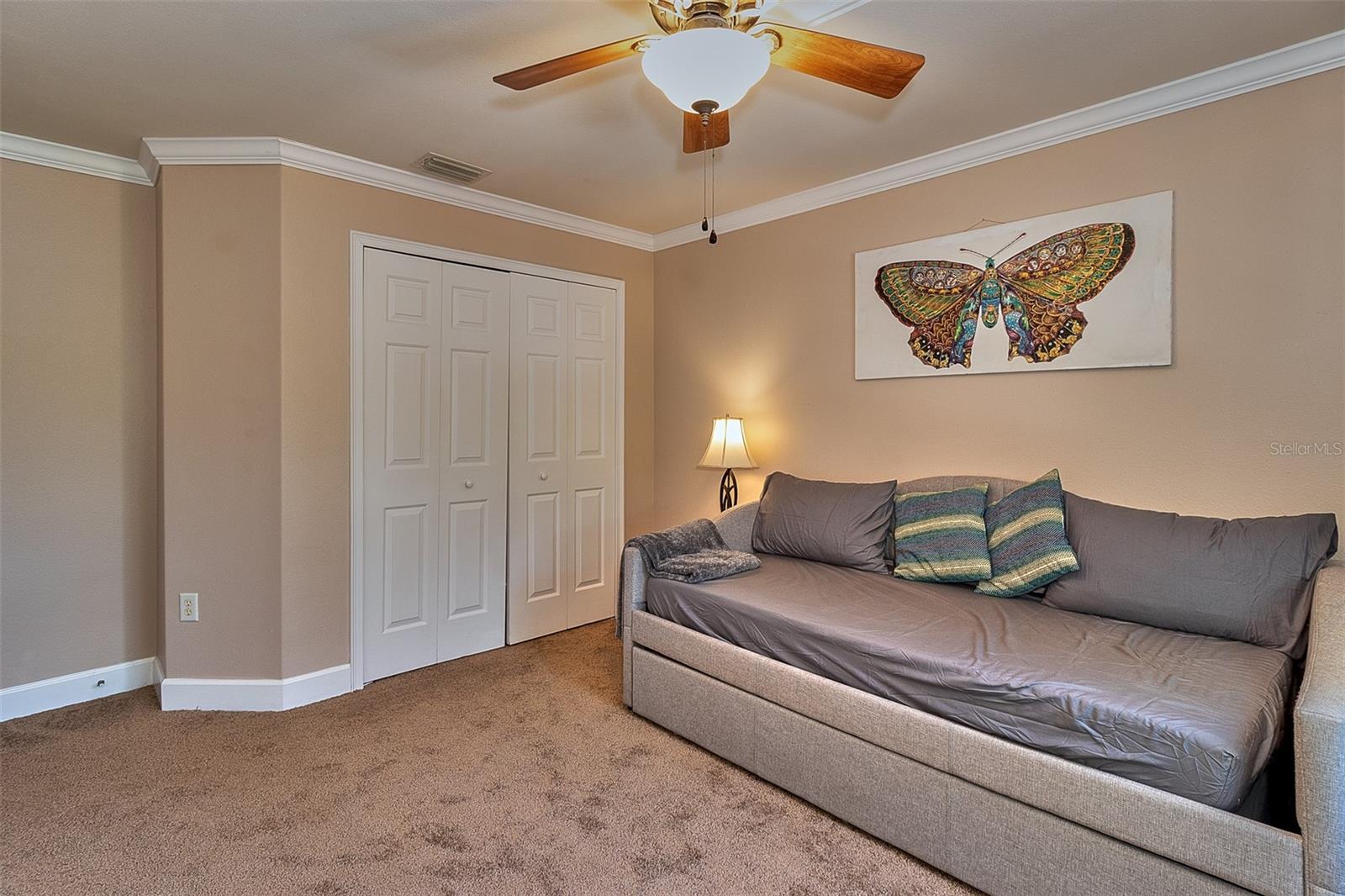 6211 S MACDILL AVE #2, TAMPA, FL, 33611