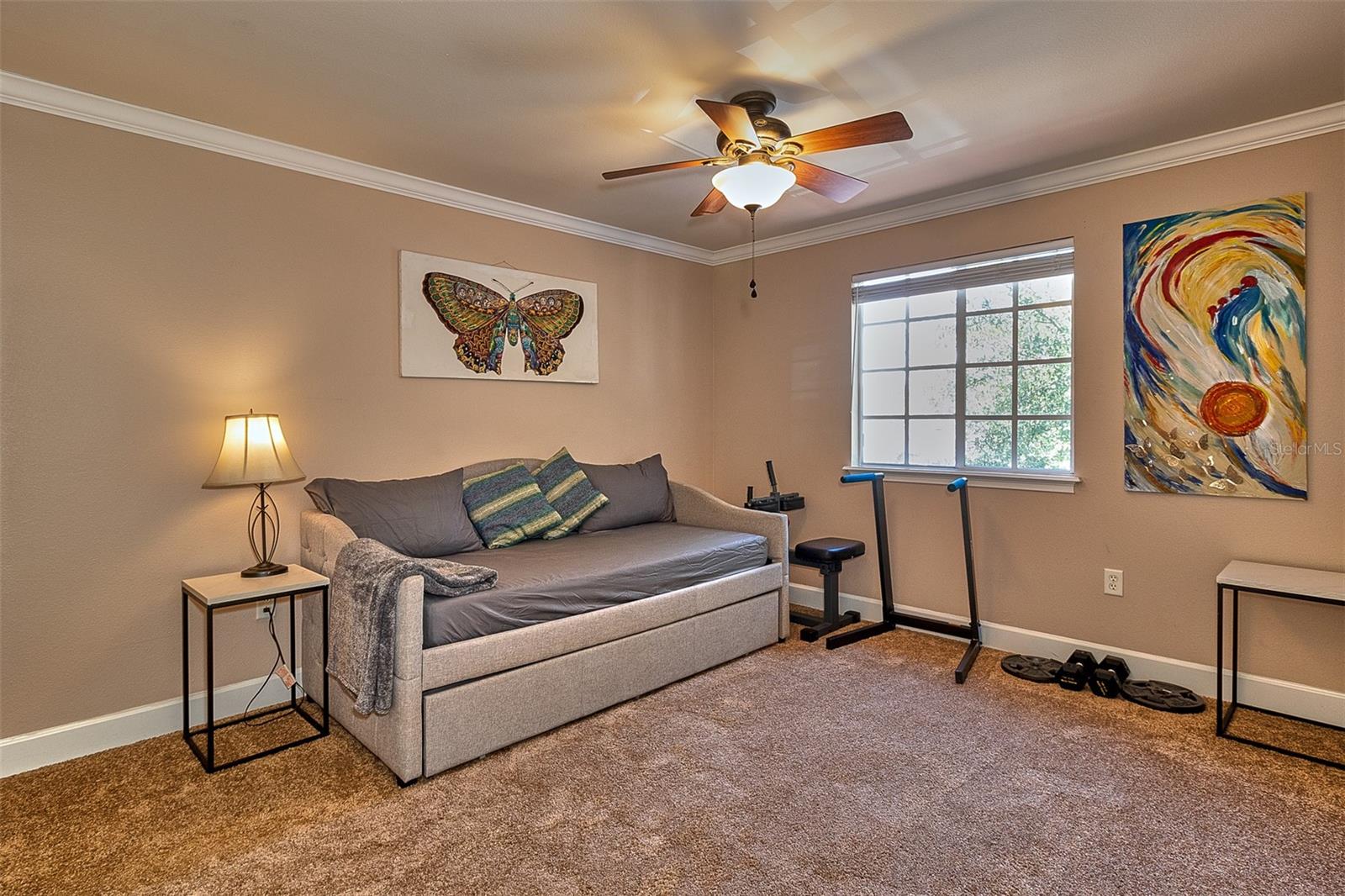 6211 S MACDILL AVE #2, TAMPA, FL, 33611