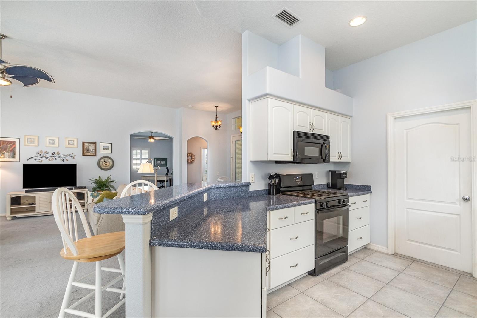 2982 LAKE HURON LN, TAVARES, FL, 32778