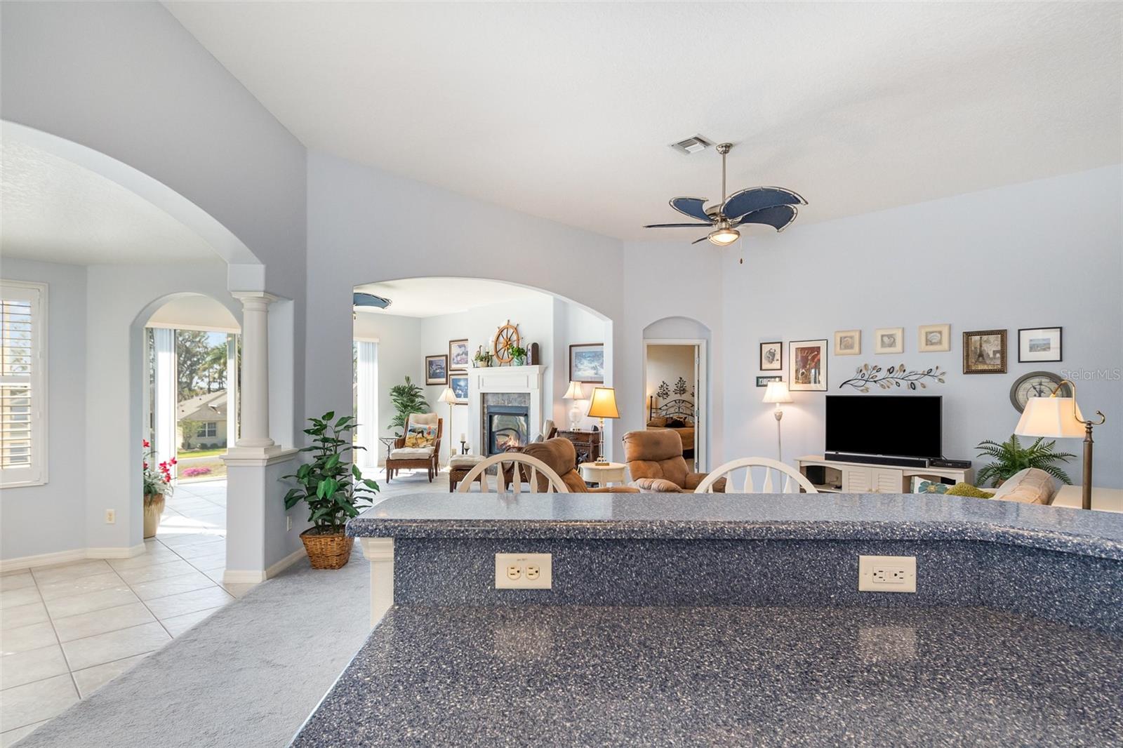 2982 LAKE HURON LN, TAVARES, FL, 32778