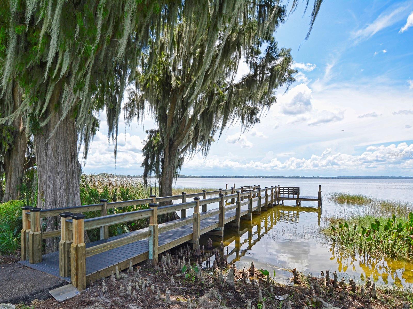 2982 LAKE HURON LN, TAVARES, FL, 32778