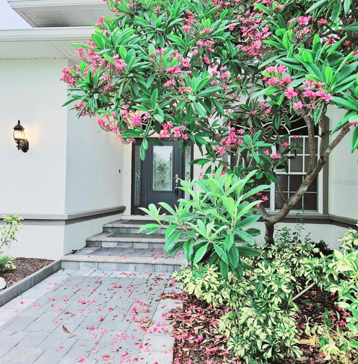 1415 BEACH CLUB LN, APOLLO BEACH, FL, 33572