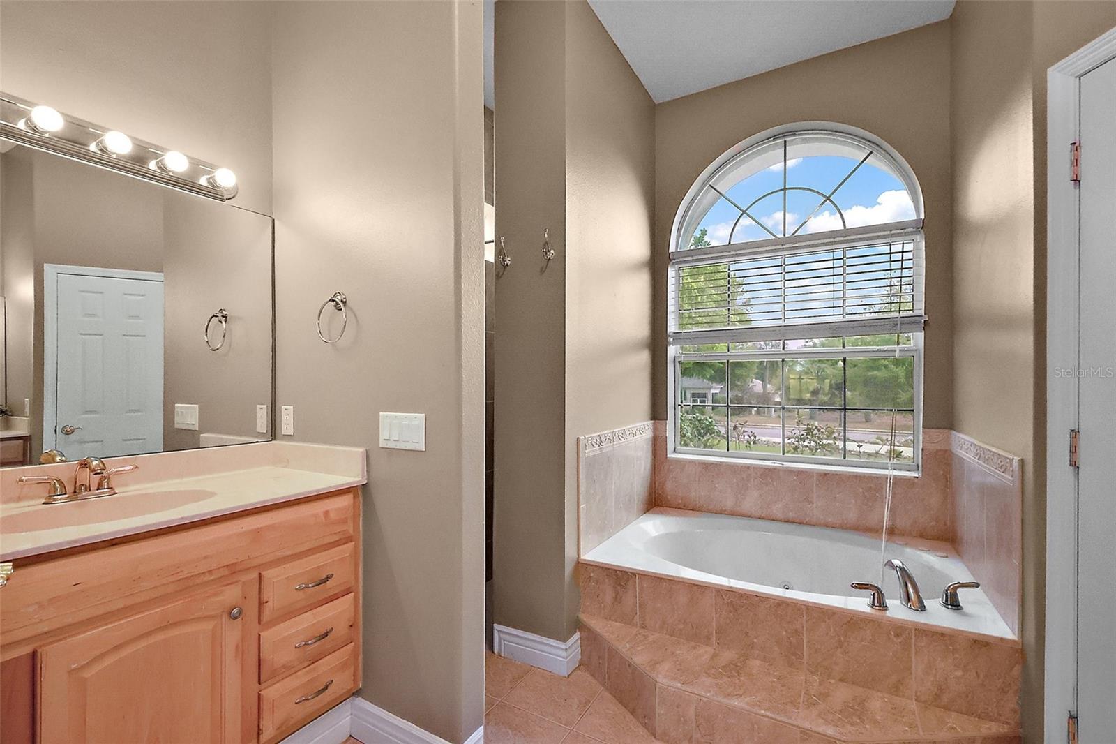 39601 HARBOR HILLS BLVD, LADY LAKE, FL, 32159