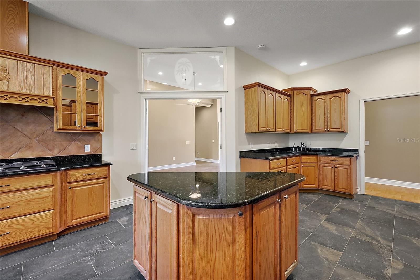 39601 HARBOR HILLS BLVD, LADY LAKE, FL, 32159