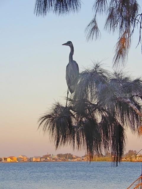 5915 SEA RANCH DR #108, HUDSON, FL, 34667