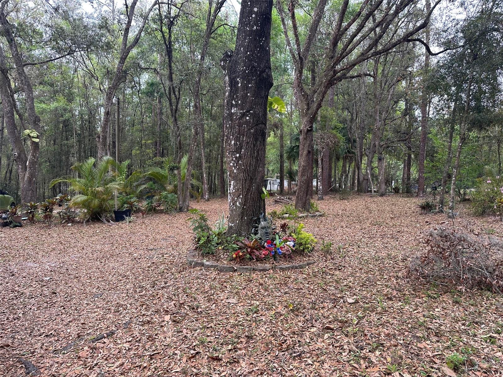 9324 CR 647B, BUSHNELL, FL, 33513