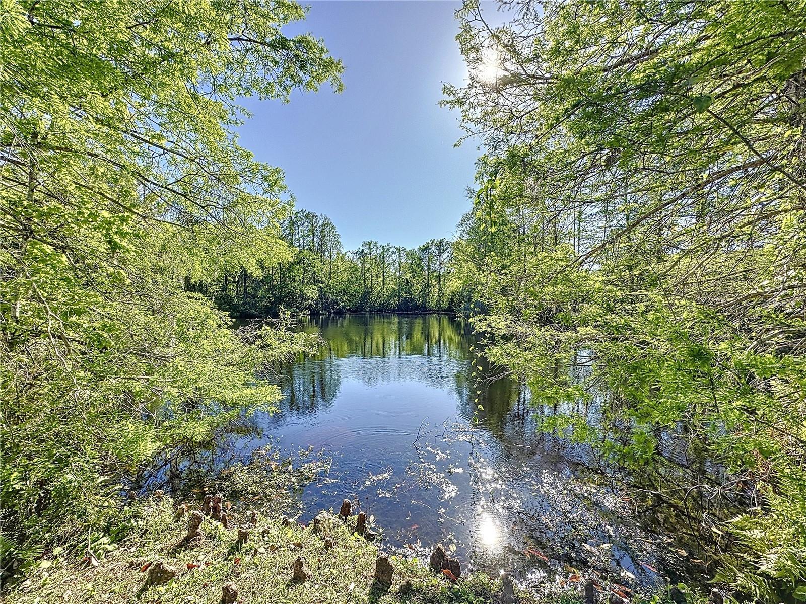 4858 S SEMORAN BLVD #2108, ORLANDO, FL, 32822