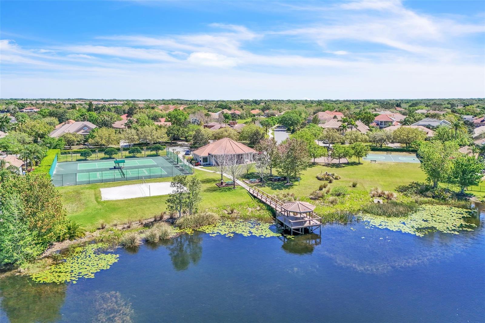 11538 DELWICK DR, WINDERMERE, FL, 34786